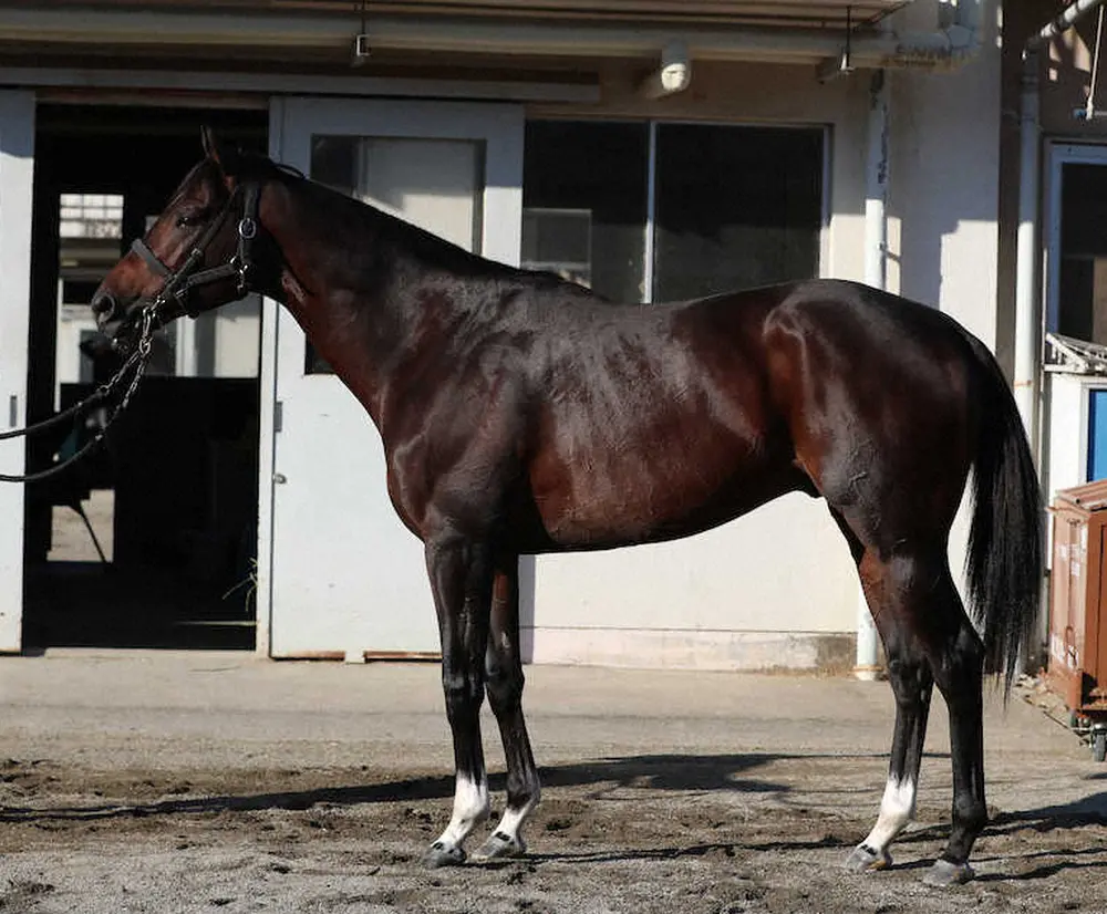 【画像・写真】ノースブリッジ