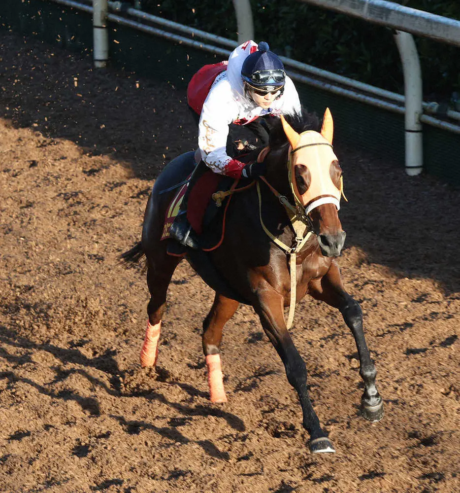 【画像・写真】坂井瑠を背に坂路で追い切るスタニングローズ（撮影・亀井直樹）