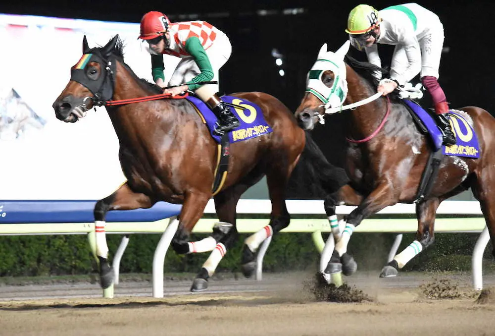 【画像・写真】アランバローズ（右）との接戦を制したスマイルウィ