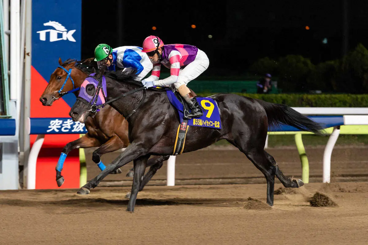 【画像・写真】ポリゴンウェイヴ（左）を捉えてS1を制したマンダリンヒーロー（TCK提供）