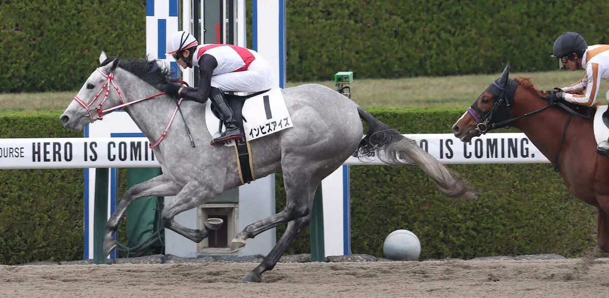 【画像・写真】【阪神6R新馬】インヒズアイズがV　坂井「いいスピードを見せてくれました」