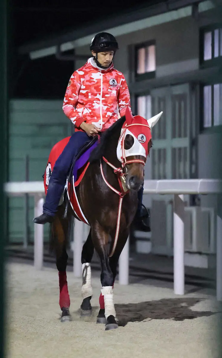 【画像・写真】パンサラッサ