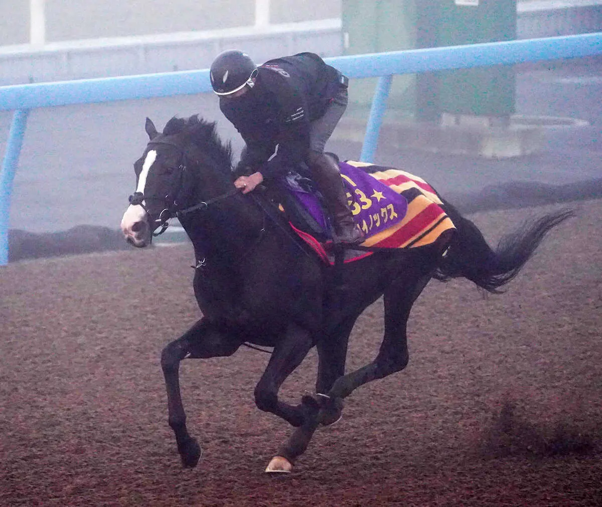 【画像・写真】追い切りを行うイクイノックス（撮影・西川祐介）