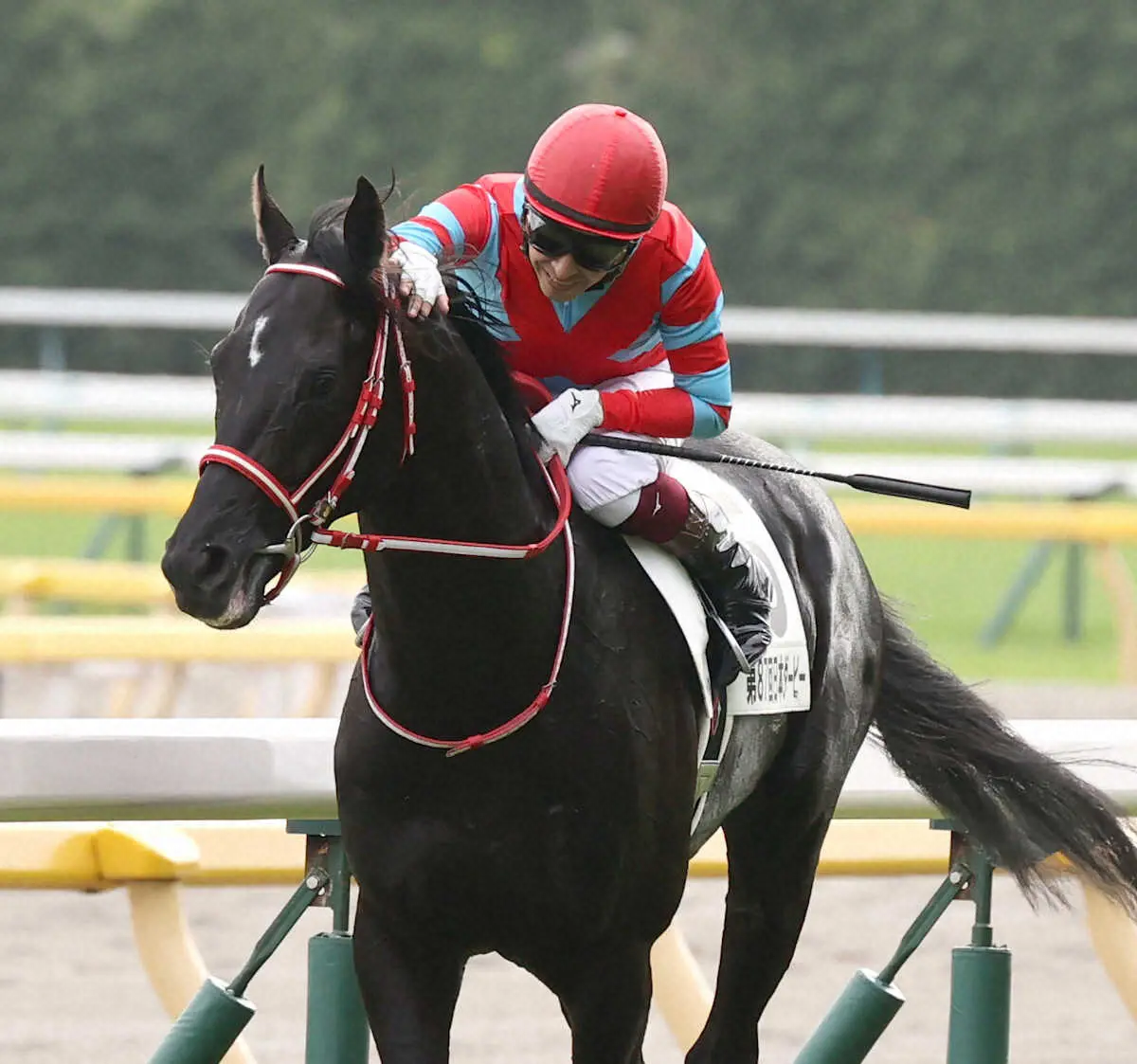 【画像・写真】福永祐一、来年2月末で騎手引退　ネットも衝撃「寂しい」「凄い調教師になりそう」