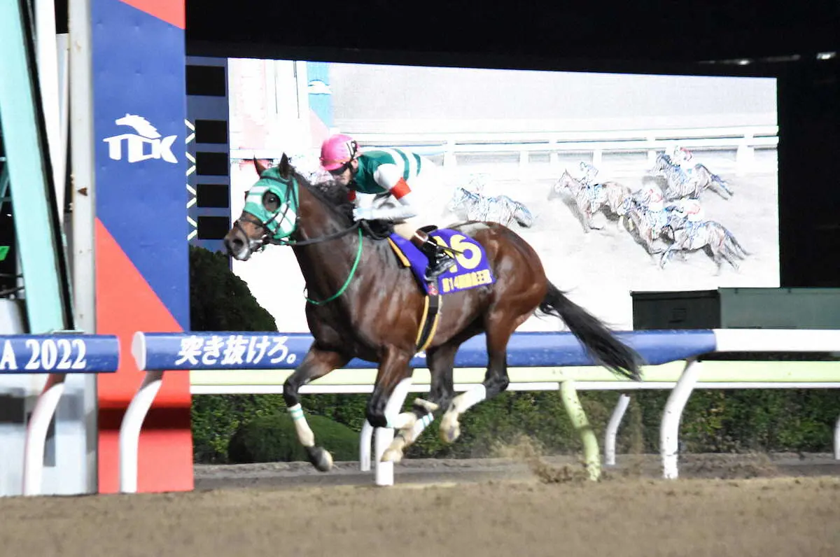 【画像・写真】好位から抜け出して勝島王冠を制したライトウォーリア