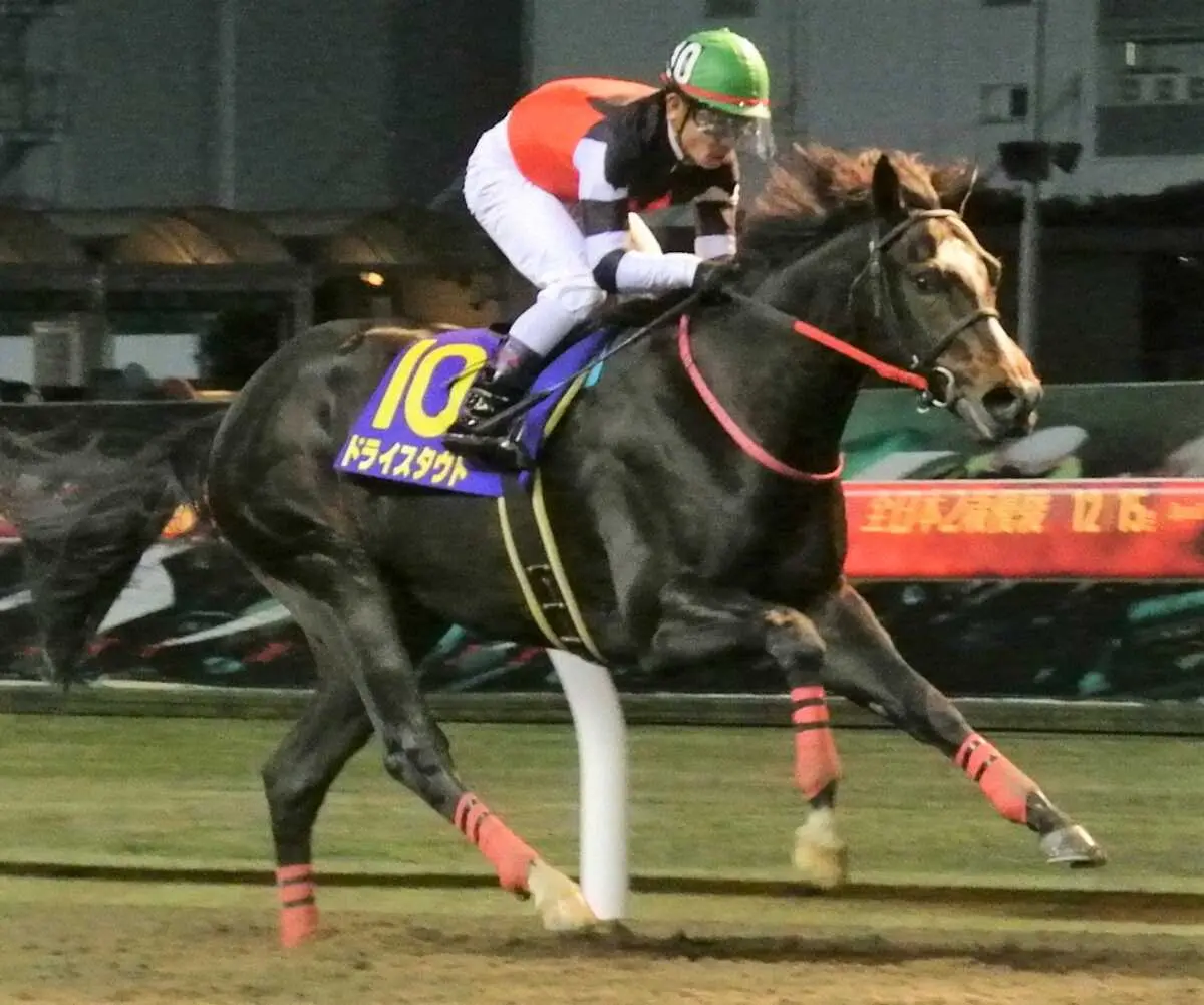 【画像・写真】【川崎・全日本2歳優駿】14日発走　過去10年データで必勝ポイント探る