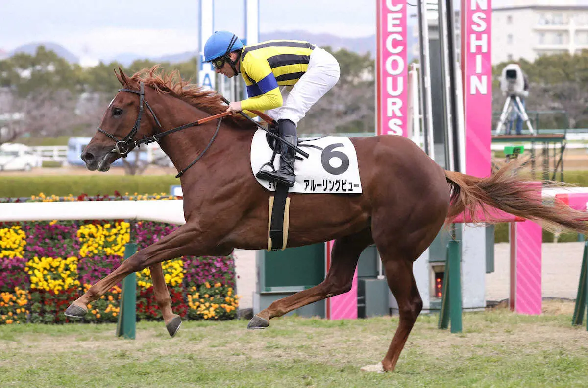 【画像・写真】【新馬戦総括】アルーリングビュー　操縦性が高く、立ち回りのうまさ光る