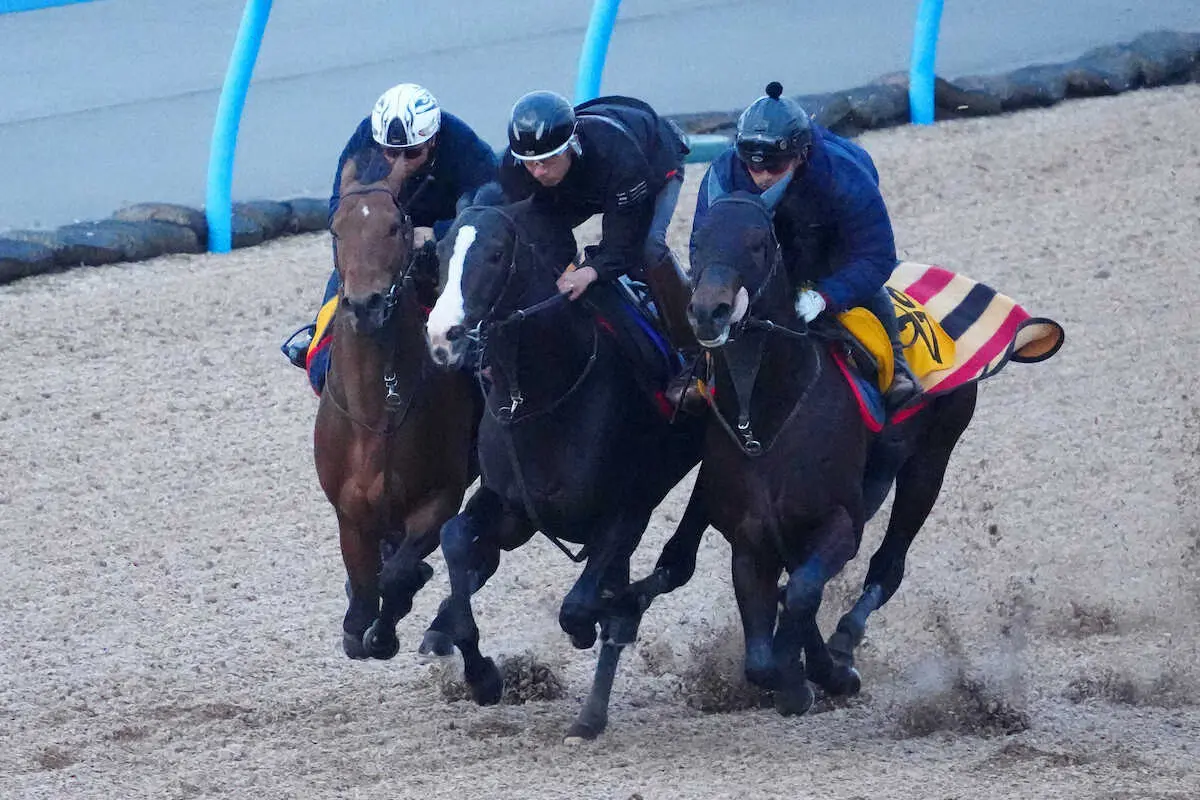 【画像・写真】【有馬記念】イクイノックス完璧！「天才」証明で3頭併せ軽々半馬身先着