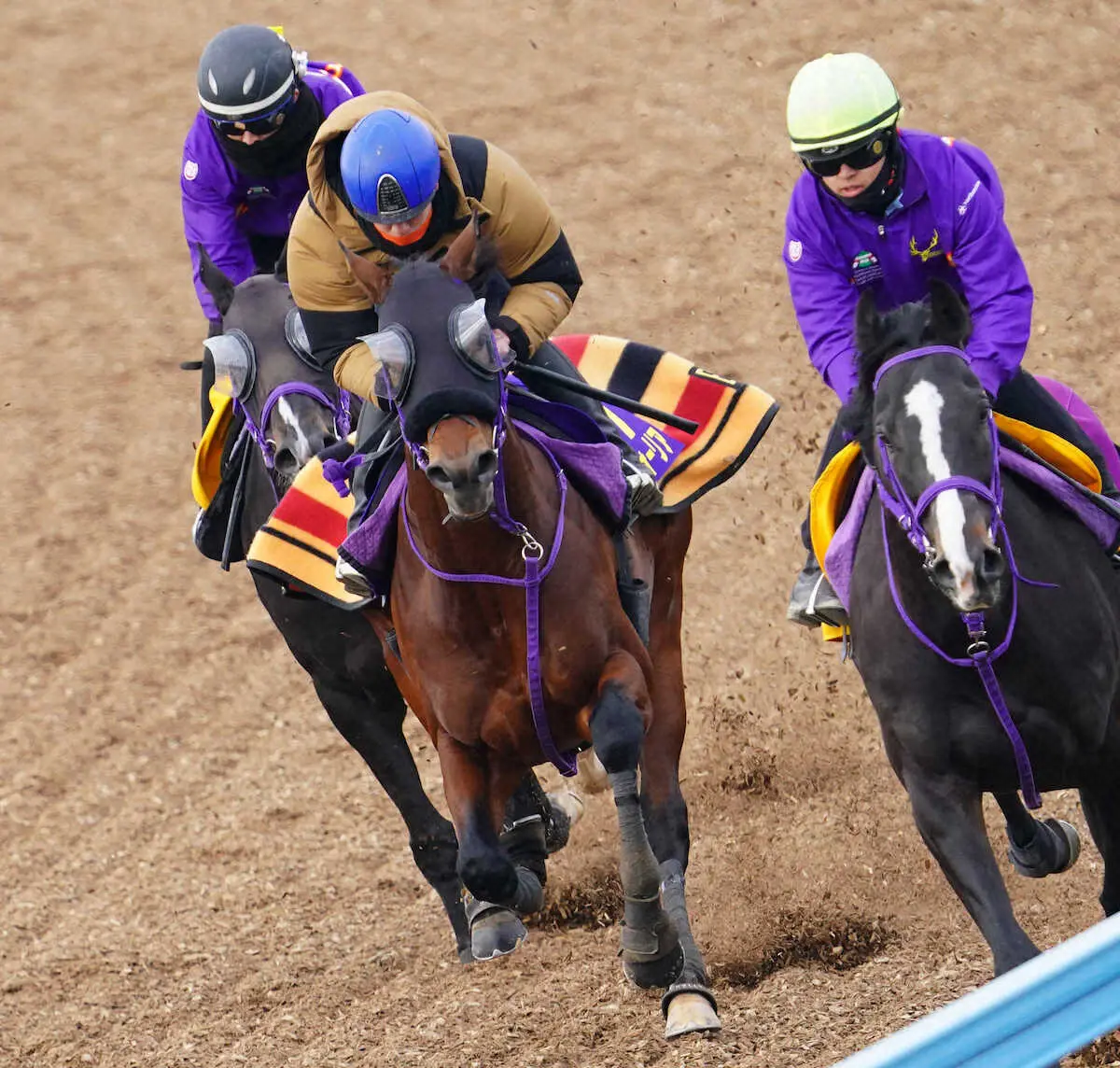 【画像・写真】【有馬記念】エフフォーリア復活準備OK　横山武も自信「皆好き勝手言うけど…強い」