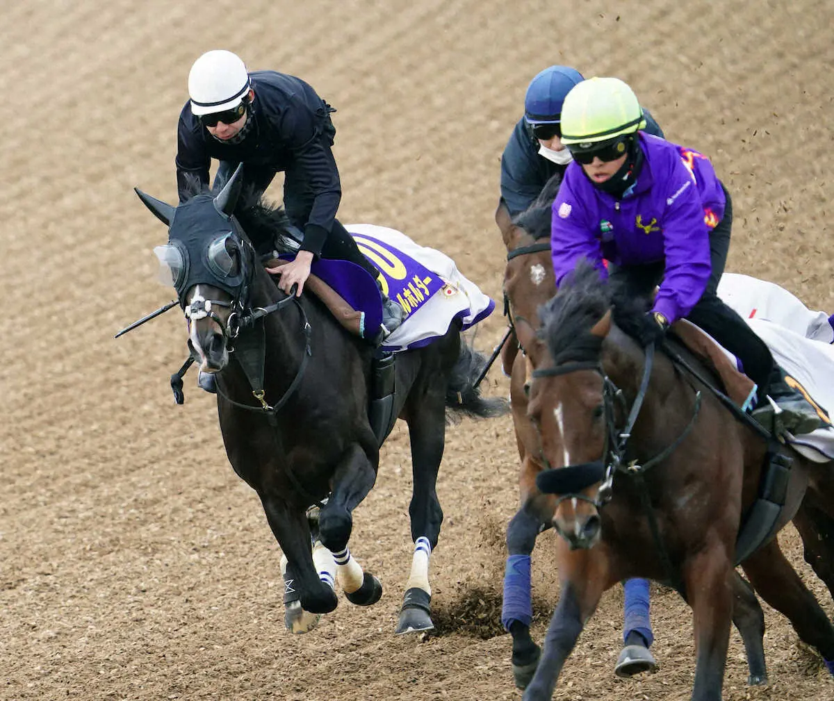 【画像・写真】【有馬記念】タイトルホルダー迫力満点！横山和も状態自信「特に不安材料もない」