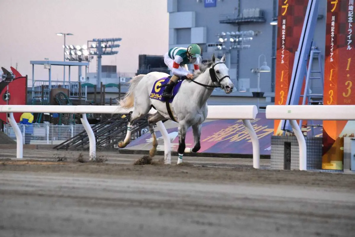 【画像・写真】3馬身差の圧勝を飾ったエルデュクラージュ