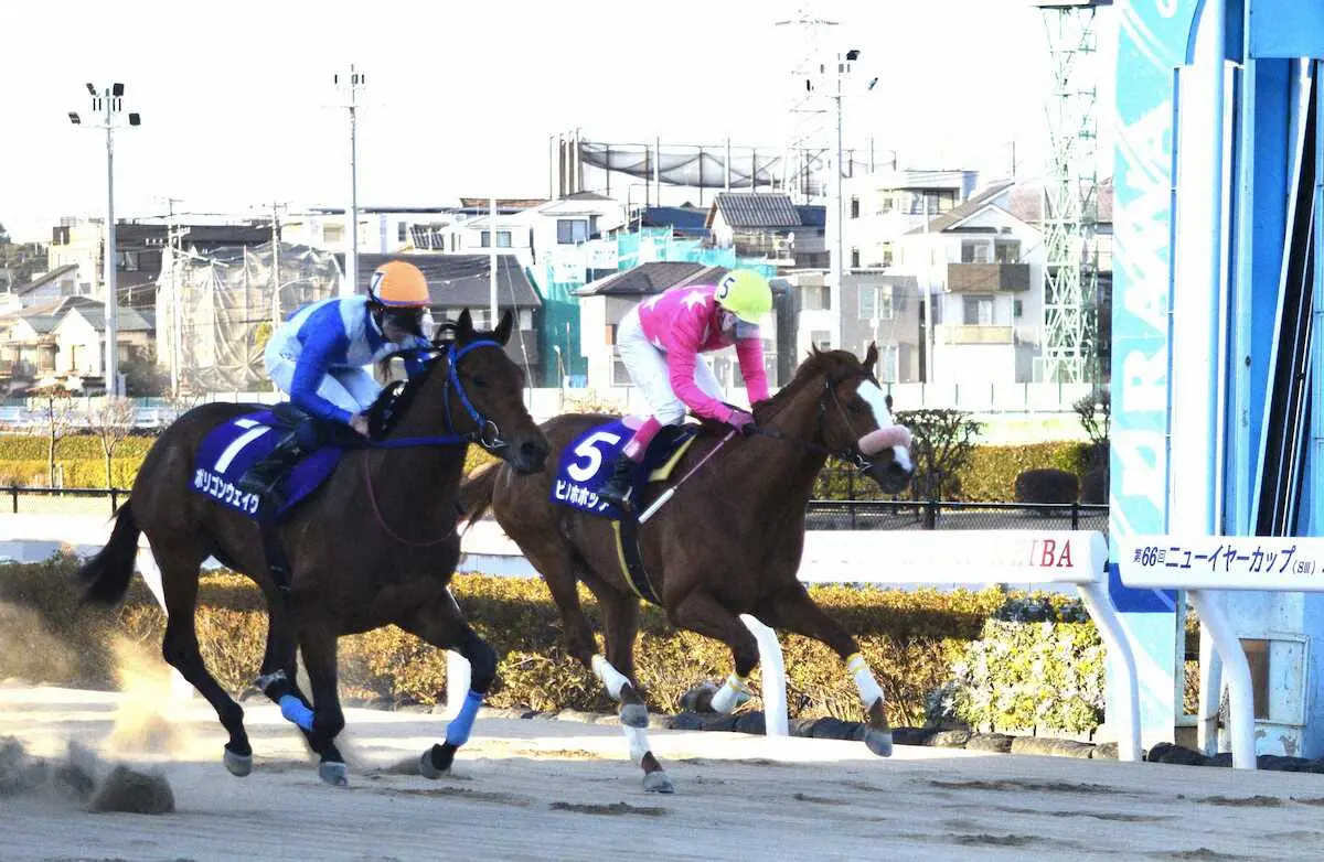 【画像・写真】ゴール前ピノホホッア（右）を差し切って優勝したポリゴンウェイヴ