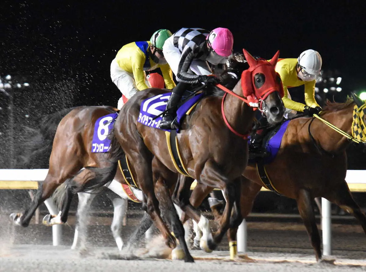 【画像・写真】ゴール前の接戦を制したティアラフォーカス