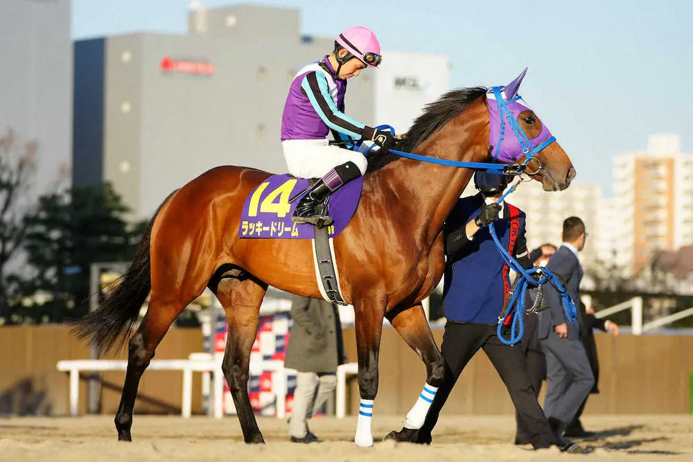 【画像・写真】【佐賀9R　第50回佐賀記念JpnⅢ】カフジオクタゴン本領発揮　ラッキードリームも実績申し分なし