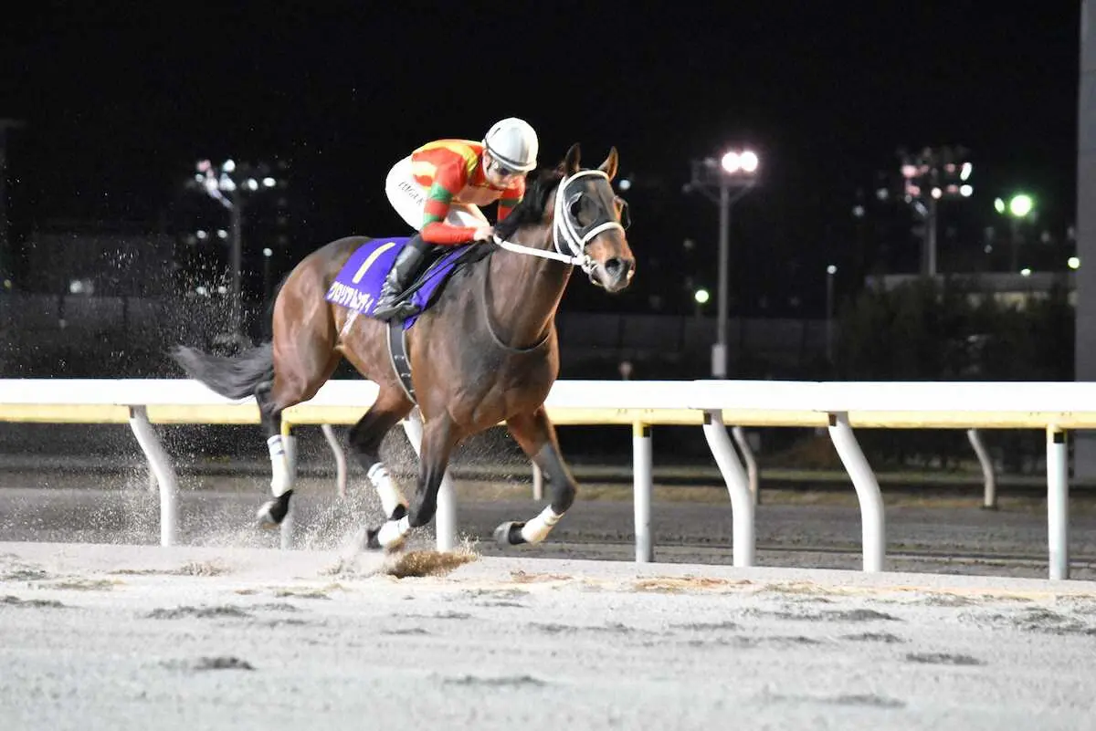 【画像・写真】9馬身差の圧勝でダイオライト記念を制したグロリアムンディ