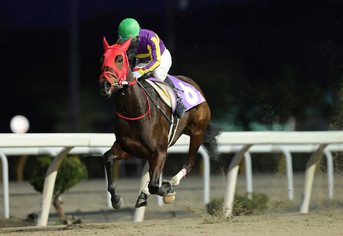 【画像・写真】水沢で3戦無敗のミニアチュール（岩手県競馬組合提供）