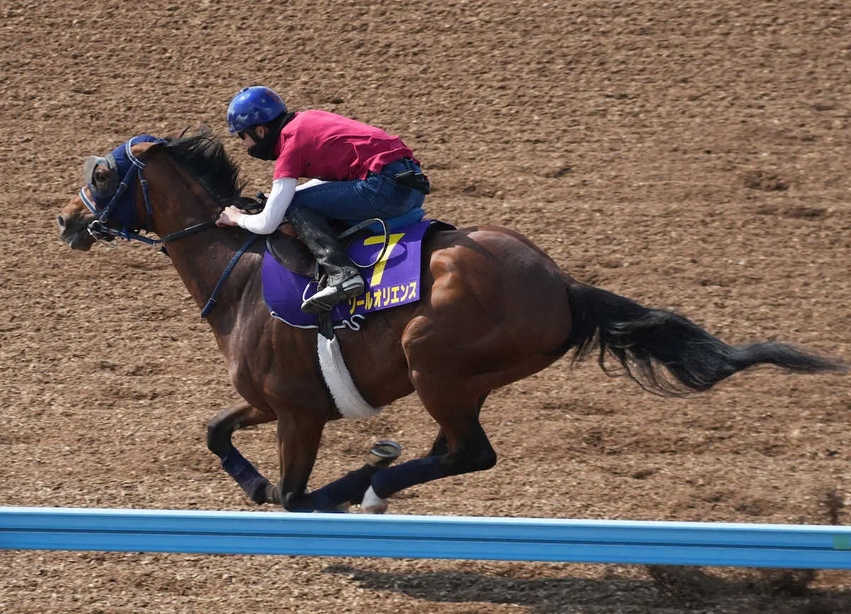 【画像・写真】ウッドチップコースで追い切るソールオリエンス（撮影・郡司修）