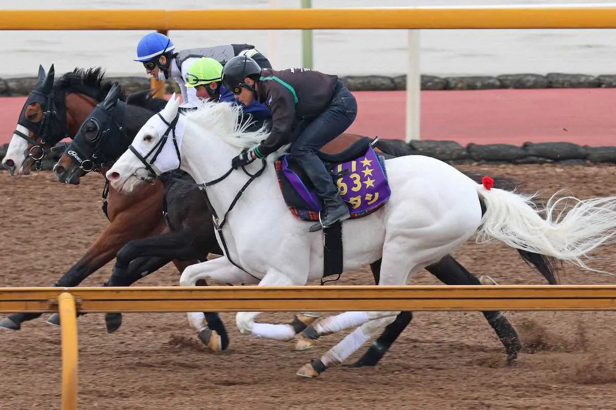 【画像・写真】CWコース3頭併せで時計を出したソダシ