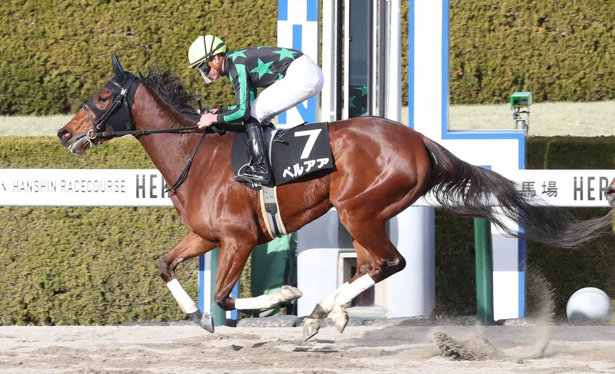 【画像・写真】ペルアア