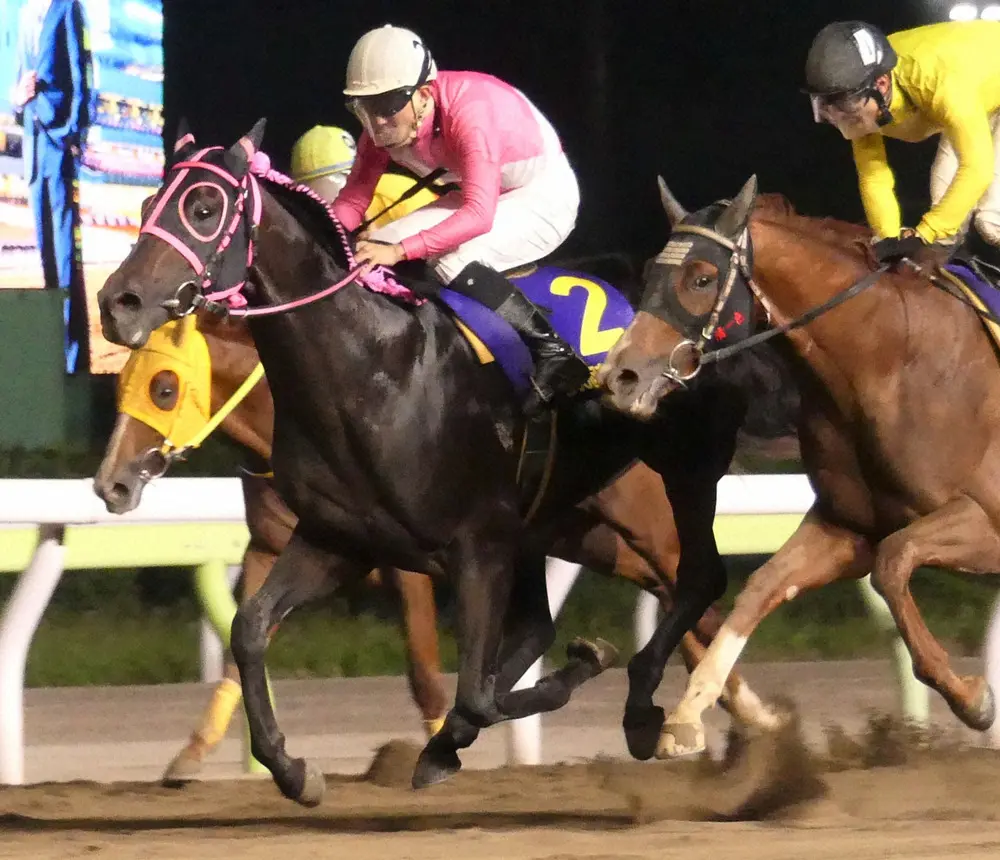 【画像・写真】エメリミット