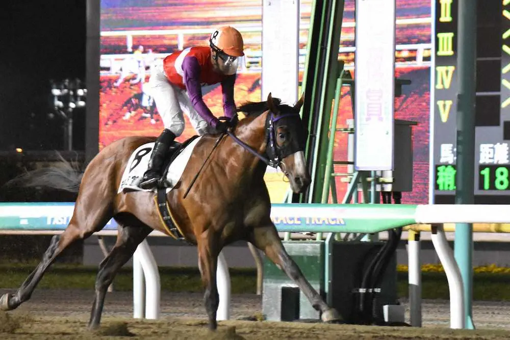 【画像・写真】ギガキング