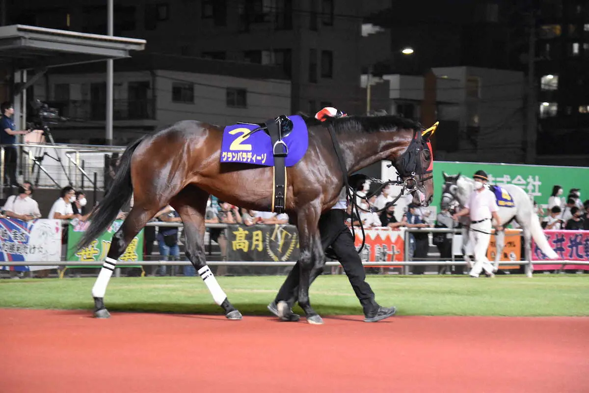 【画像・写真】前走1着の勢いで重賞制覇を狙うグランパラディーゾ