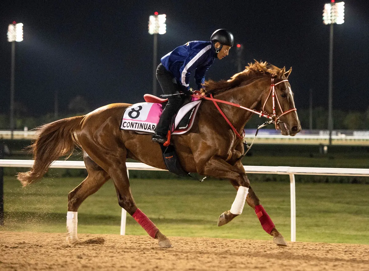 【画像・写真】コンティノアール（AP）