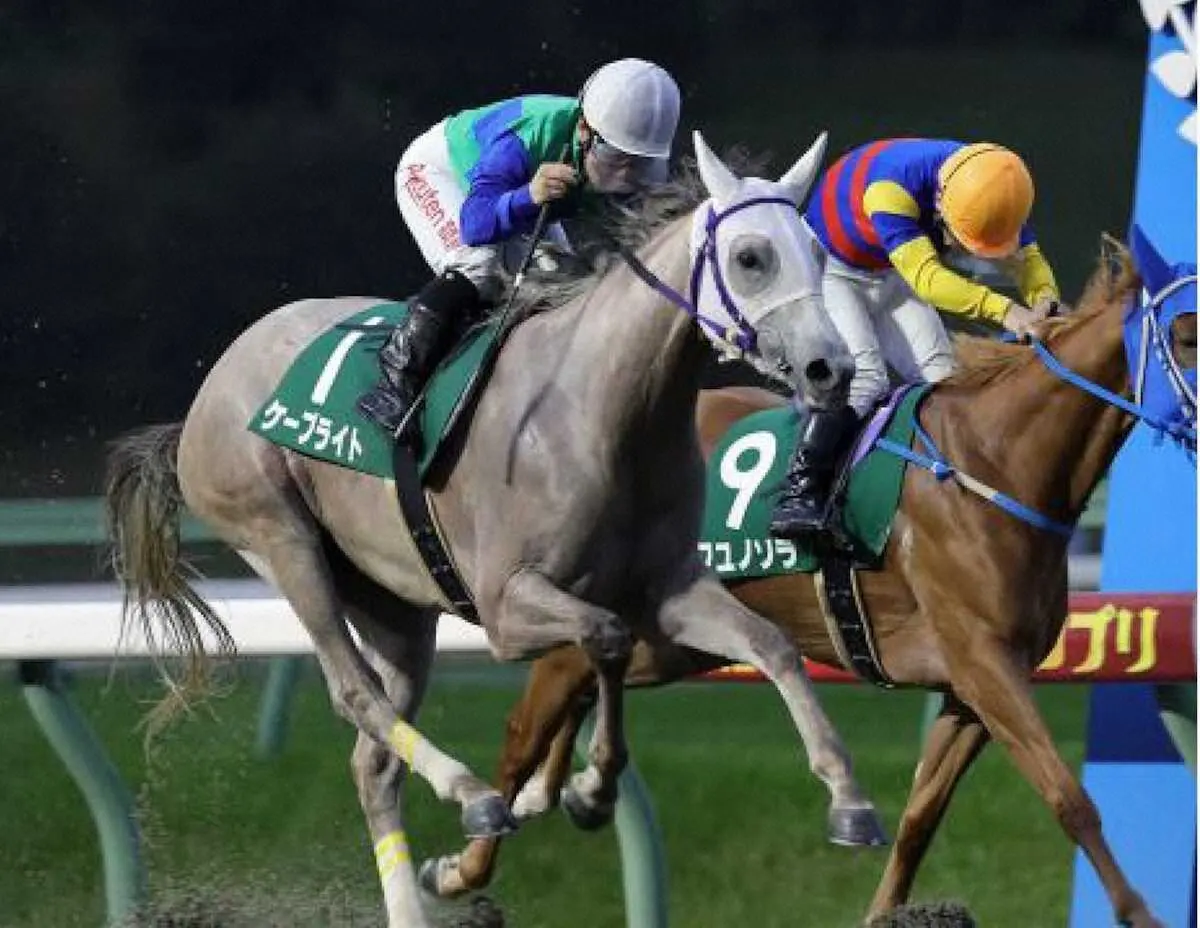 【画像・写真】【水沢11R・イーハトーブマイル】ケープライト復活Vだ