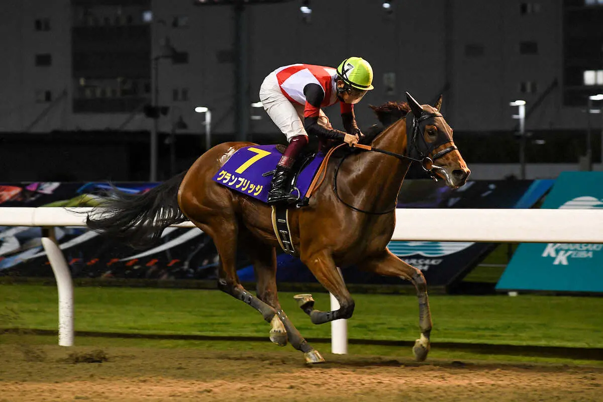 【画像・写真】【川崎・関東オークス】14日発走　過去10年データで必勝ポイント探る