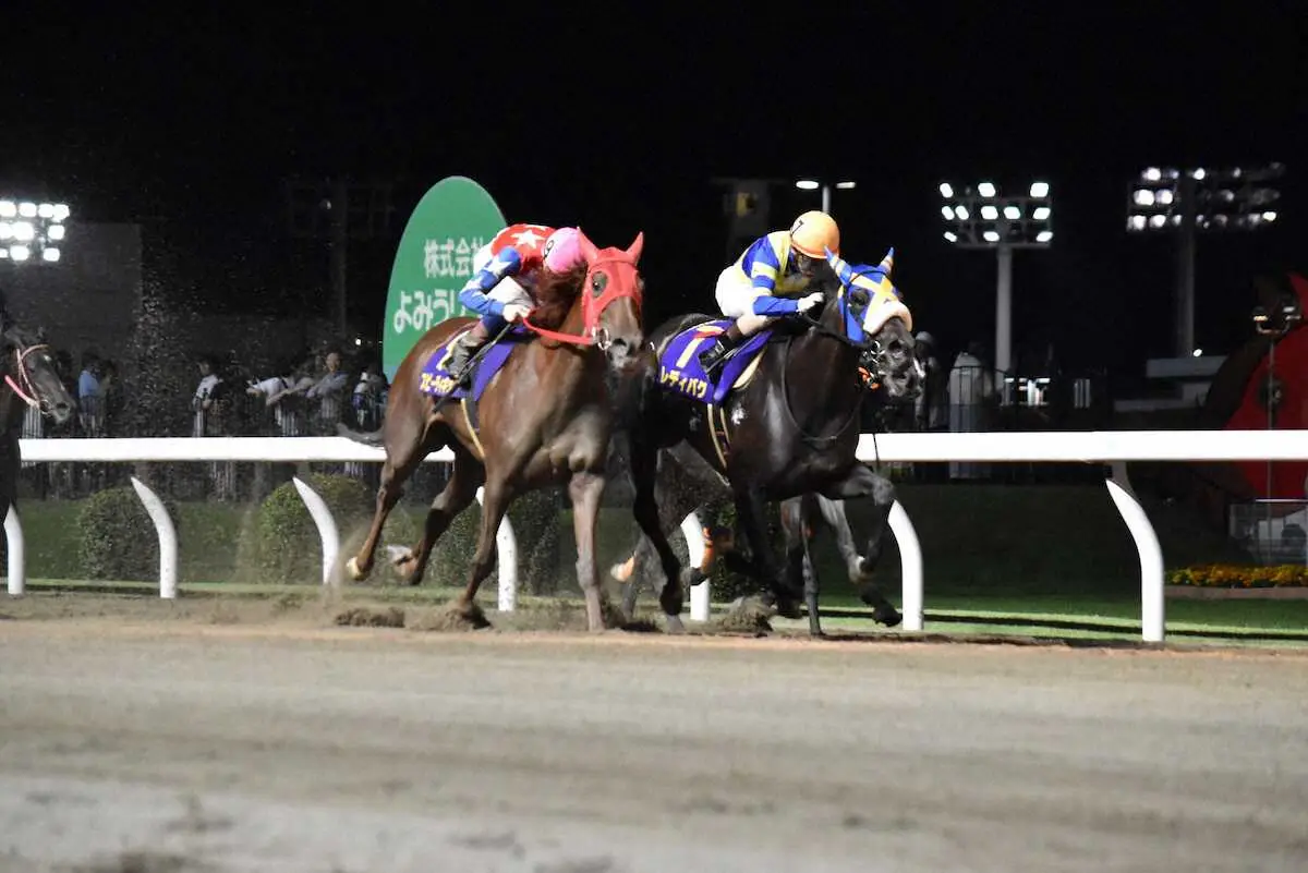 【画像・写真】スピーディキック（左）の猛追を抑えたレディバグ