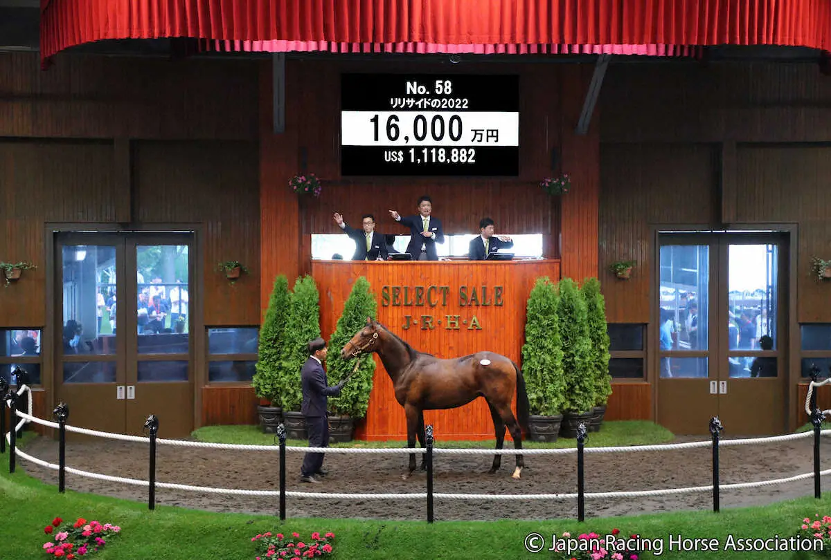 【画像・写真】19年年度代表馬・リスグラシュー半弟は1億6000万円　金子真人HD落札「満足できる金額」