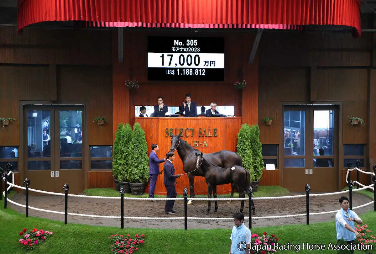 【画像・写真】【セレクトセール】コントレイル産駒のトップバッターいきなり1億7000万円！「モアナの2023」