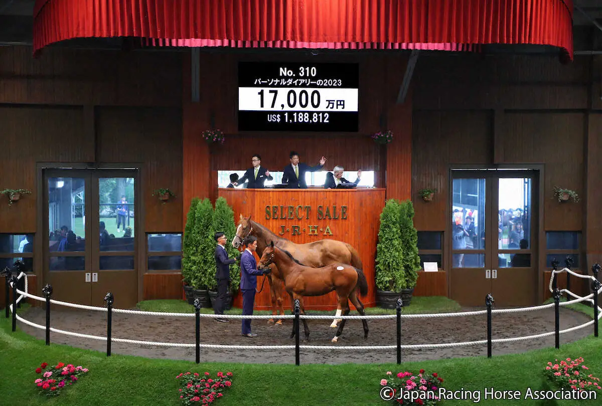 【画像・写真】【セレクトセール】1億7000万円のコントレイル産駒購入　今福氏「この馬がいいと思っていました」