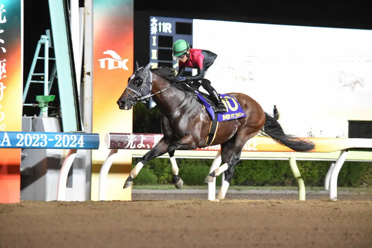 【画像・写真】鮮やかな逃げ切りを決めたシュアゲイト