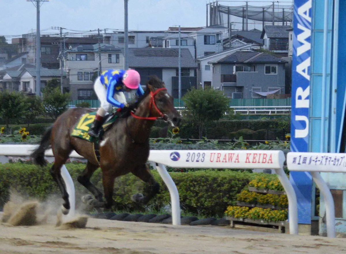 【画像・写真】新設重賞のルーキーズサマーカップを5馬身差の圧勝で制したアムクラージュ