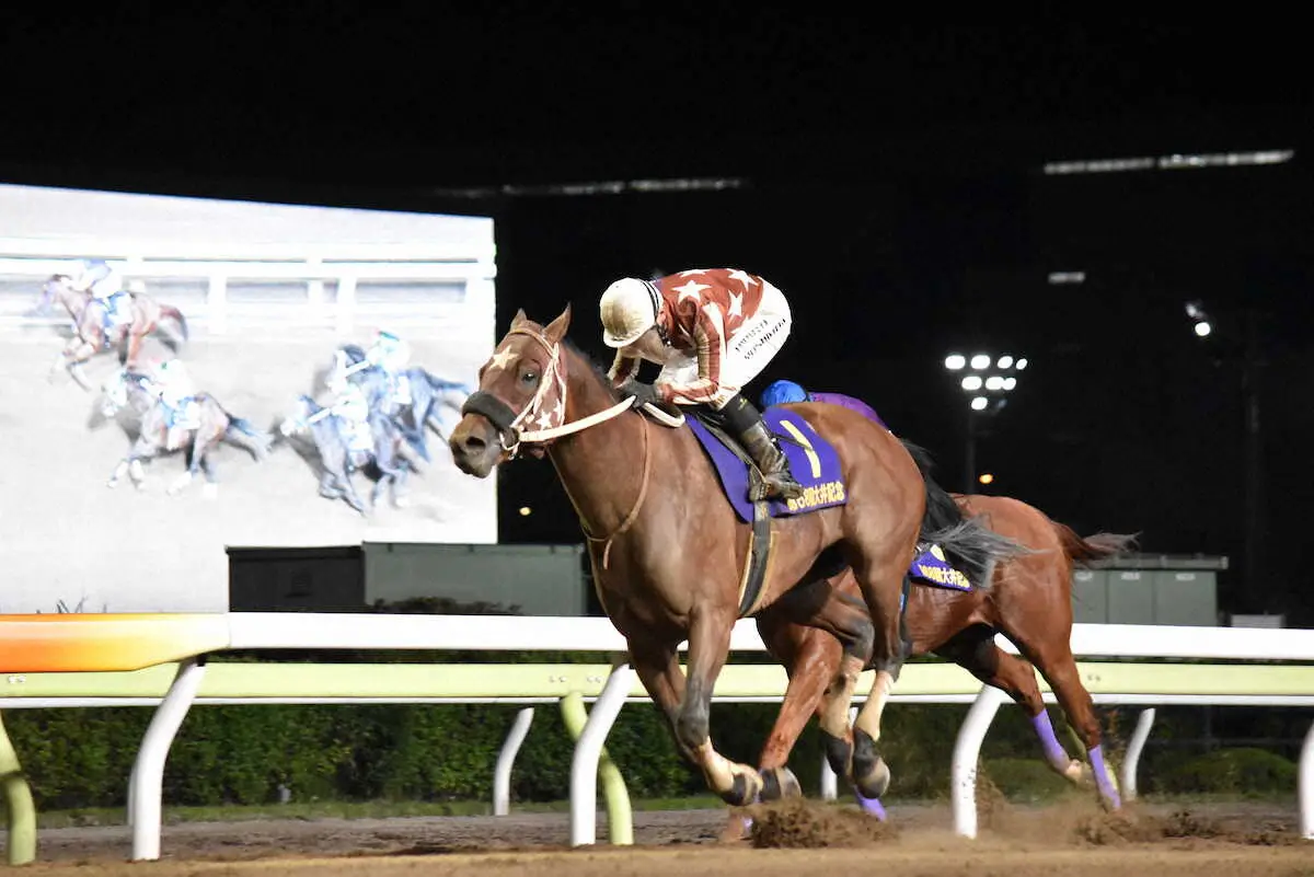【画像・写真】重賞3連勝を狙うセイカメテオポリス
