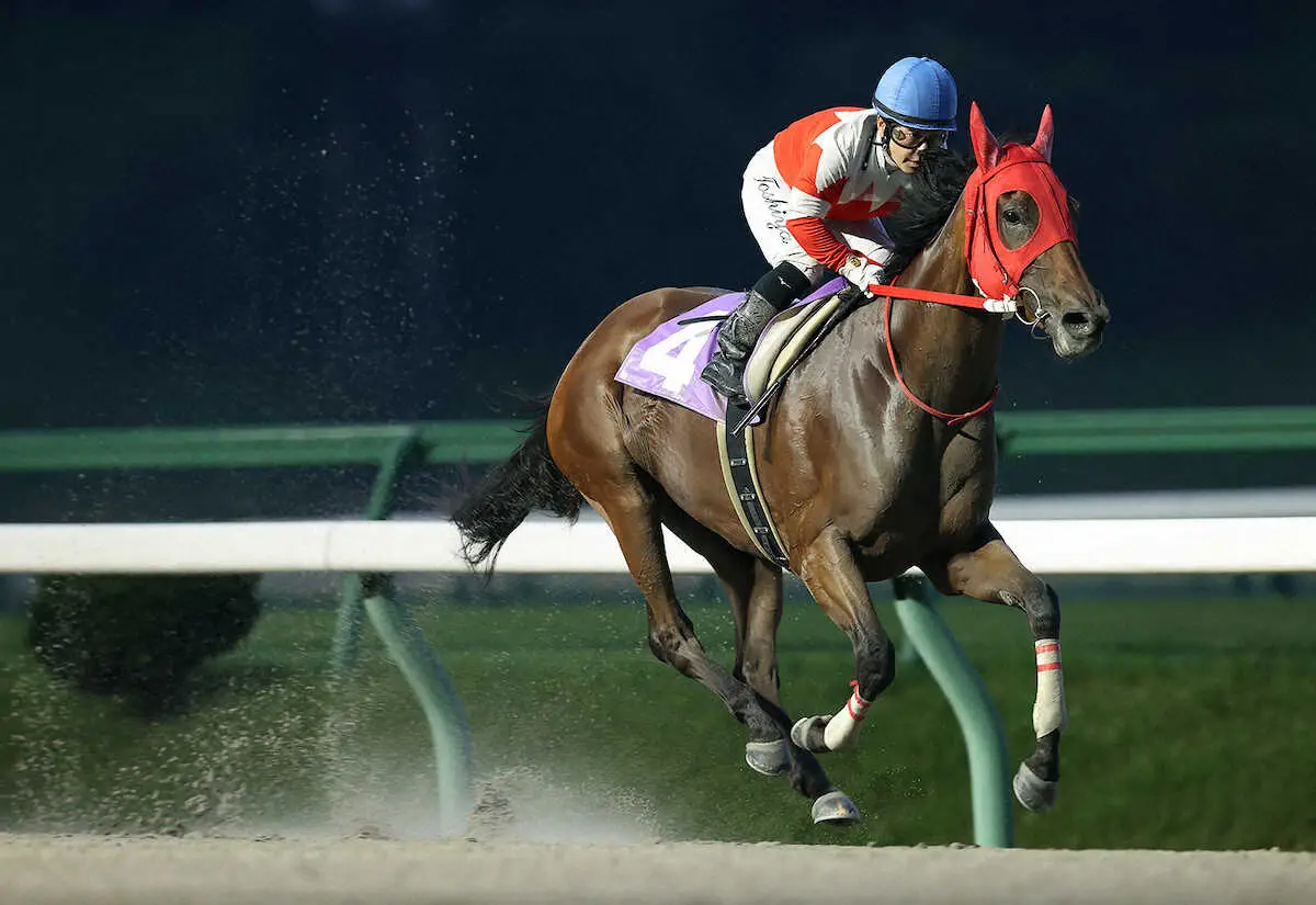 【画像・写真】前走を楽勝したゴールデンヒーラーが連覇を決める（岩手県競馬組合提供）