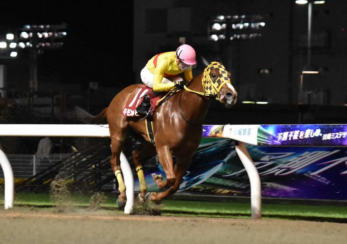 【画像・写真】キモンルビー