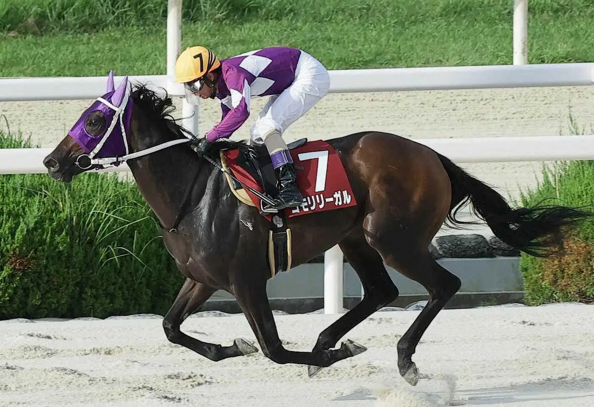 【画像・写真】コモリリーガル