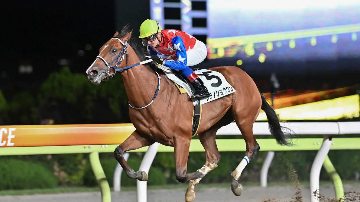 【画像・写真】ダテノショウグン