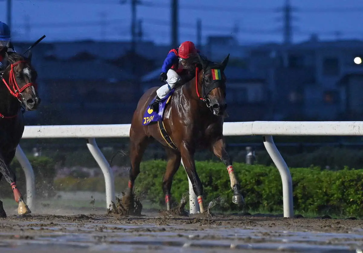 【画像・写真】V奪還を狙うスマイルウィ