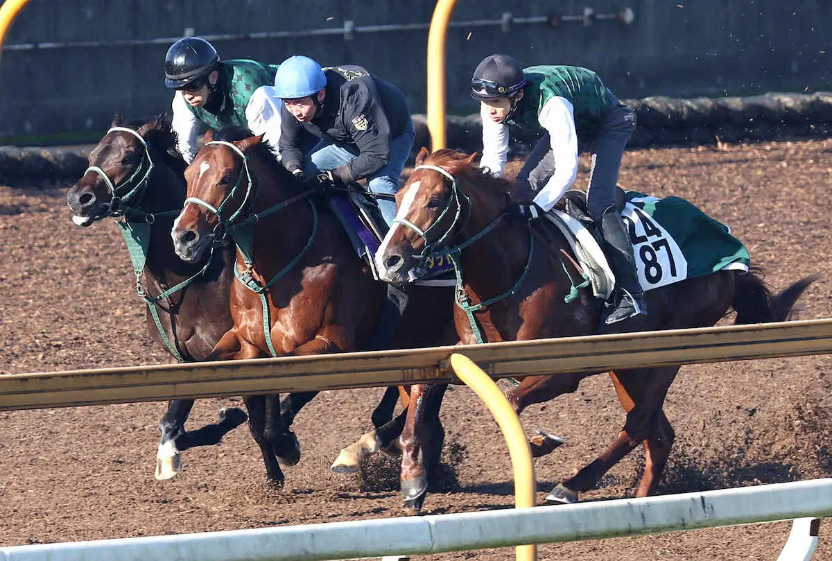 【画像・写真】小坂忠士を背にCウッドをローガンパス（左）、ワイドアラジン（右）と3頭併せで追い切るスタッドリー