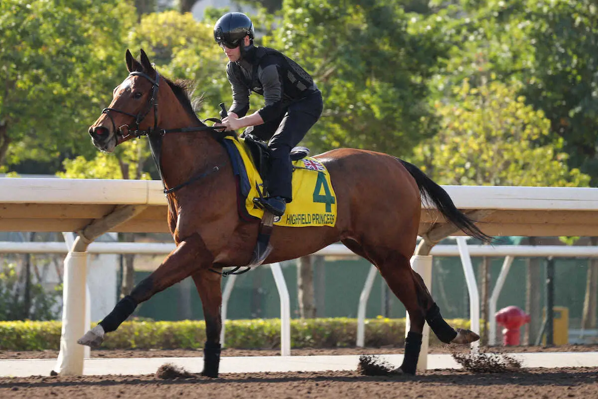 【画像・写真】【香港スプリント】(10)ハイフィールドプリンセス　晩成開花　脂乗った6歳牝馬　G1連勝だ!