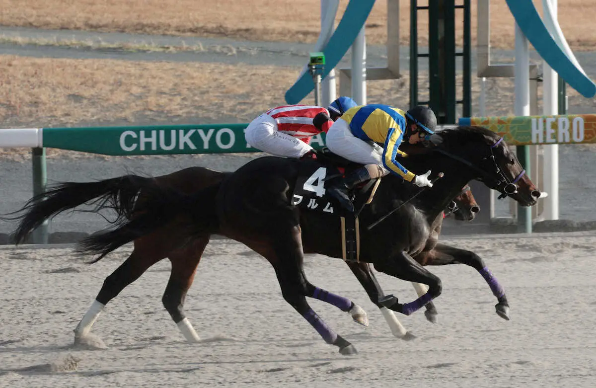 【画像・写真】【コールドムーンS】フルム　インで脚をためた　オープン初勝利