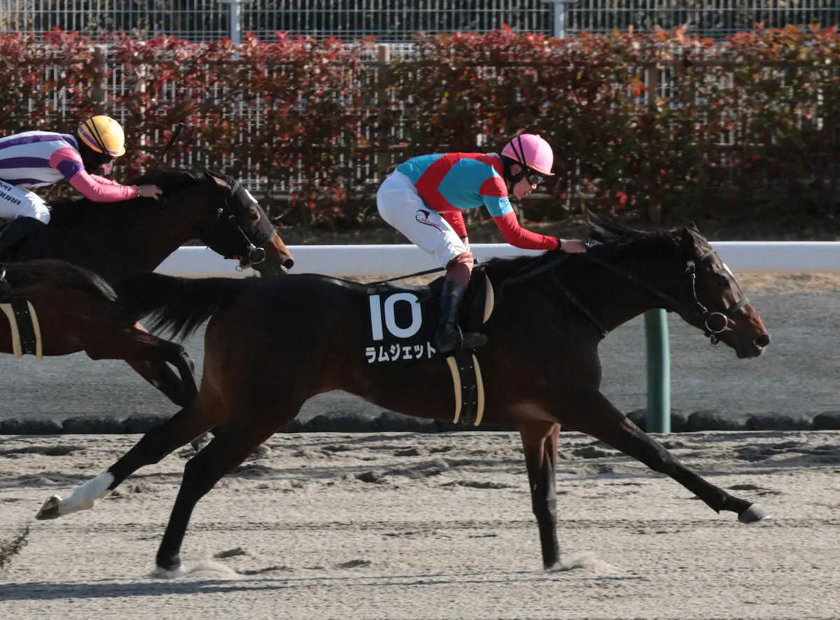 【画像・写真】【寒椿賞】ラムジェット　直線切れ味抜群　三浦「距離も延びていい」