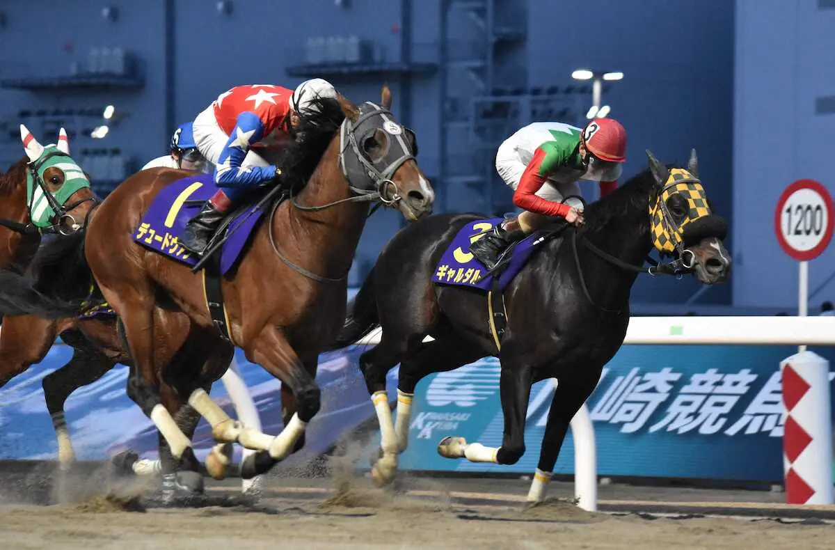 【画像・写真】ギャルダル（右）を差し切って川崎マイラーズを制したデュードヴァン