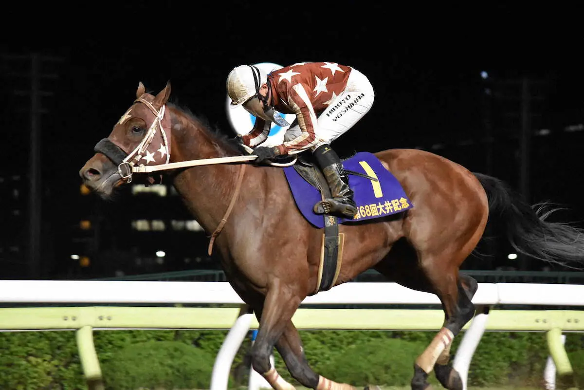 【画像・写真】今年初戦を白星で飾りたいセイカメテオポリス