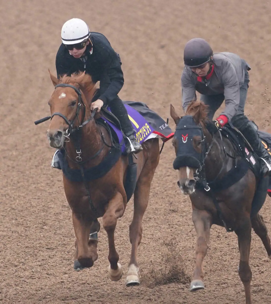【画像・写真】横山和を背に併せで追い切るアレグロブリランテ（左）（撮影・村上大輔）