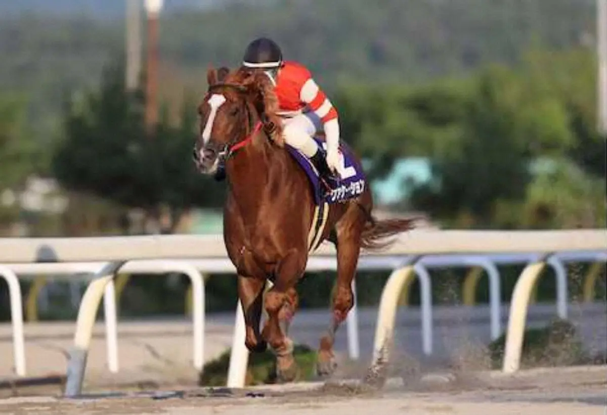【画像・写真】中心は水沢マイル戦4戦4連対のヴァケーション（岩手県競馬組合提供）