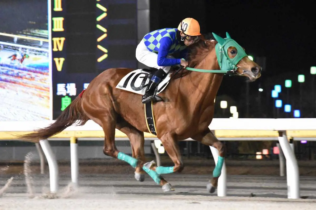 【画像・写真】目下デビュー11連勝中のジゼル